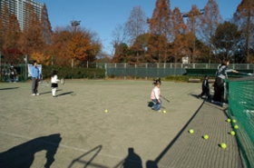 ボールは1バウンド以内に返球